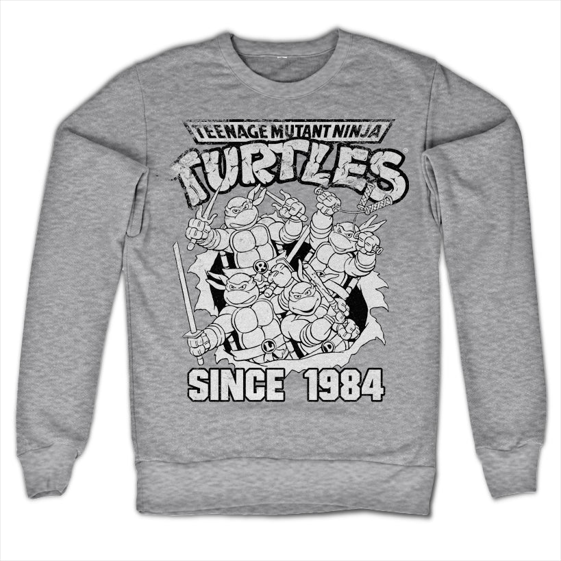 Teenage Mutant Ninja Turtles - TMNT Distressed Since 1984 Sweatshirt