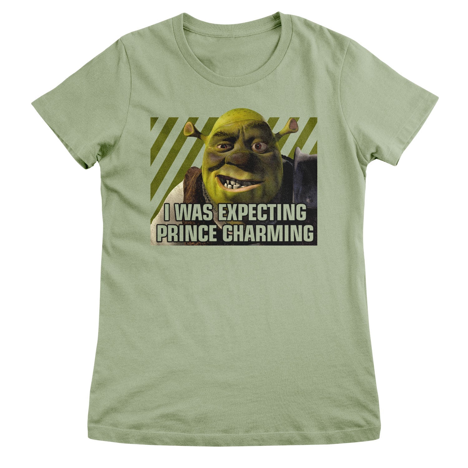 Shrek - I Was Expecting Prince Charming Women T-Shirt