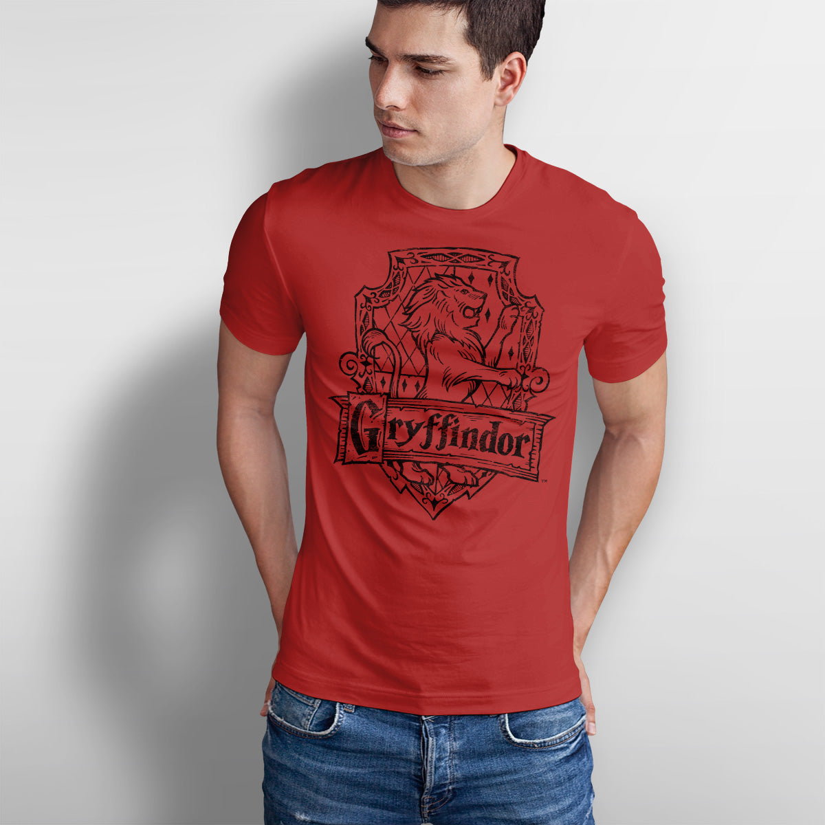 Harry Potter - Gryffindor Washed Crest Mens T-Shirt