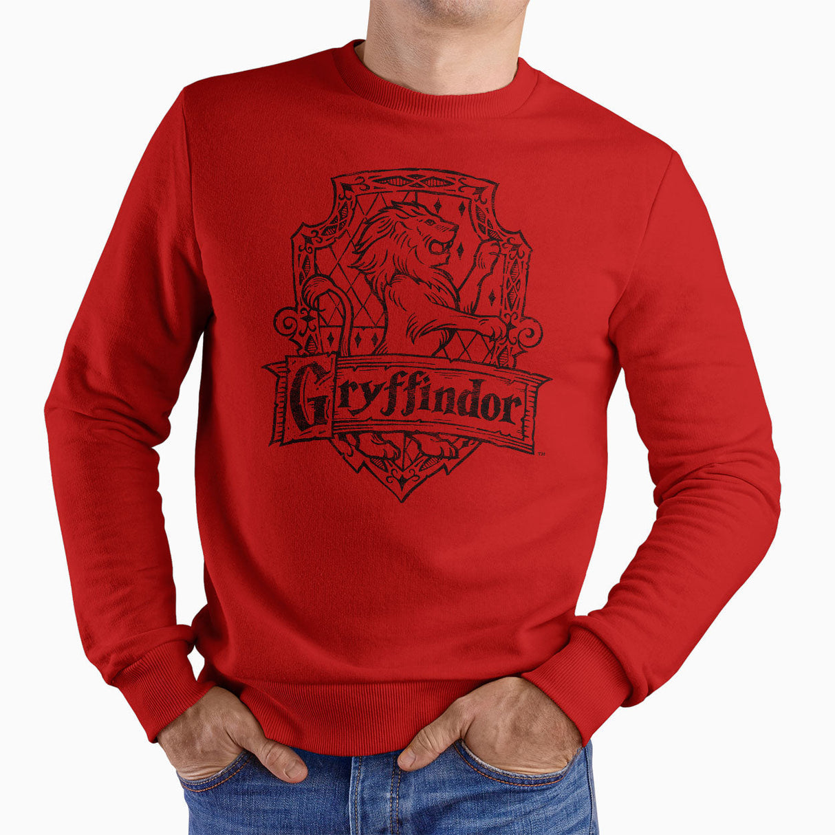 Harry Potter - Gryffindor Washed Crest Sweatshirt