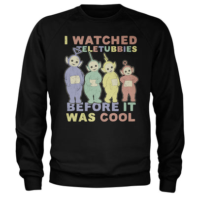 Teletubbies - I Watched Teletubbies Before It Was Cool Sweatshirt