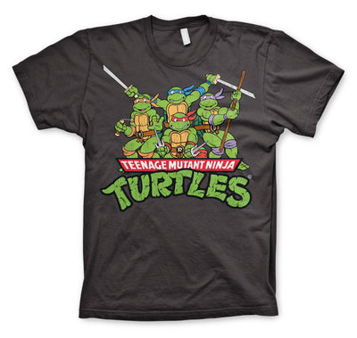 Teenage Mutant Ninja Turtles - Distressed Group Mens T-Shirt