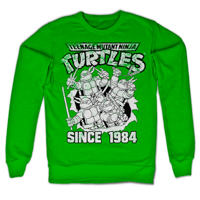 Teenage Mutant Ninja Turtles - TMNT Distressed Since 1984 Sweatshirt