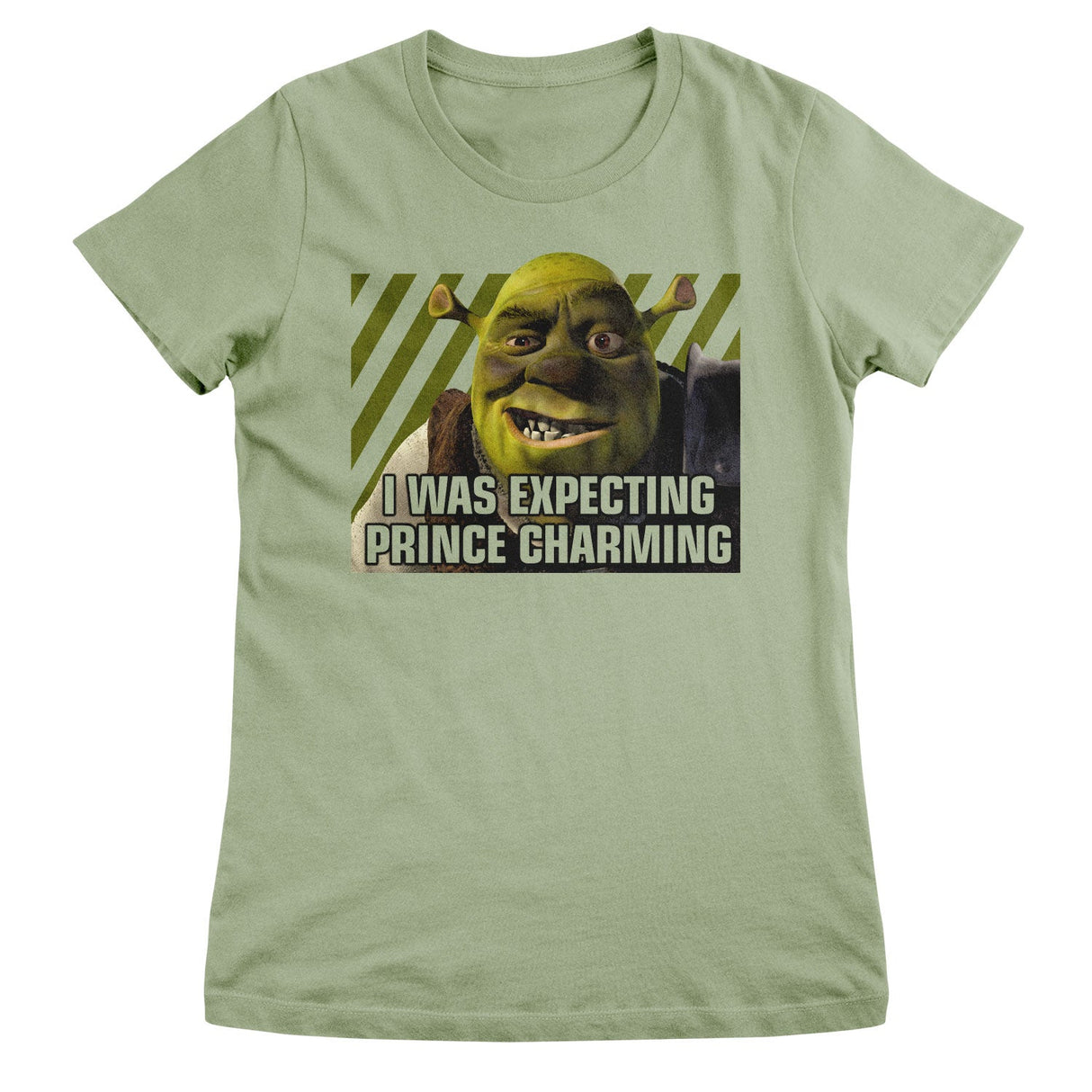 Shrek - I Was Expecting Prince Charming Women T-Shirt
