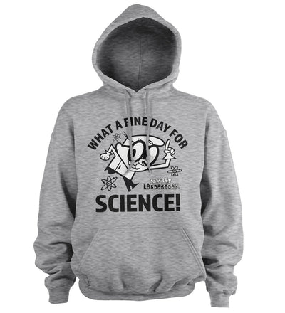 Dexter's Laboratory - What A Fine Day For Science Hoodie