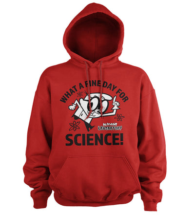 Dexter's Laboratory - What A Fine Day For Science Hoodie