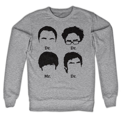 The Big Bang Theory - Prefix Heads Sweatshirt