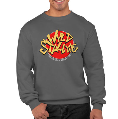 Bill and Ted's Excellent Adventure - WYLD Stallyns Band Red Logo Hoodie