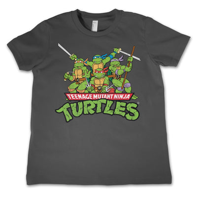 Teenage Mutant Ninja Turtles - Teeange Mutant Ninja Turtles Distressed Group Kids T-Shirt (Dark Grey)